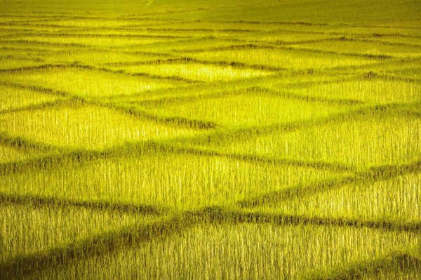 Élever vos performances grâce aux compléments alimentaires sportifs